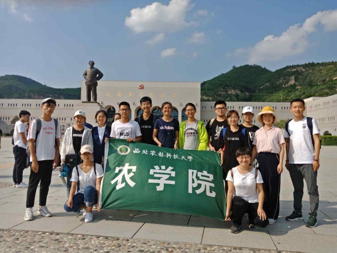 HW刀塔传说